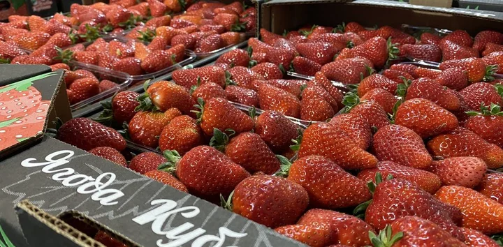 Как в Краснодарском крае выращивают клубнику для ВкусВилла