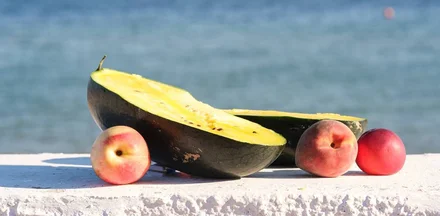 Как выращивают оранжевые, жёлтые, красные арбузы