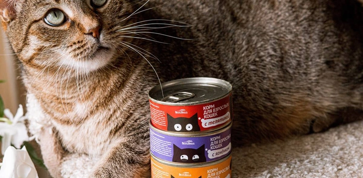 С заботой о&nbsp;братьях наших меньших: как производят корм для&nbsp;кошек и&nbsp;собак?