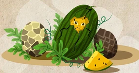 Арбузы и Драконы: кто придумывает названия продуктов во ВкусВилл