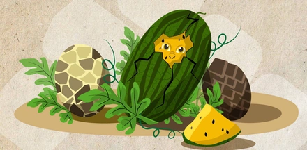 Арбузы и&nbsp;Драконы: кто придумывает названия продуктов во&nbsp;ВкусВилл