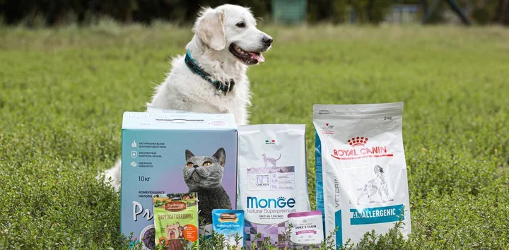 Как кормить домашних животных: советы от «Бетховена»