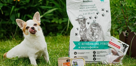 Во ВкусВилл можно с&nbsp;собакой