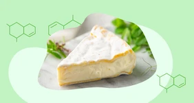 Биология продуктов: польза или вред комбучи, сыра с плесенью, хлеба и молочки