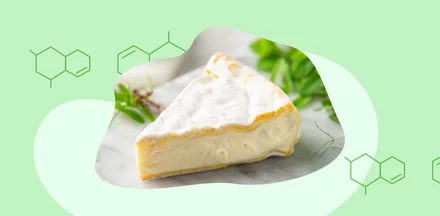 Биология продуктов: польза или вред комбучи, сыра с плесенью, хлеба и молочки