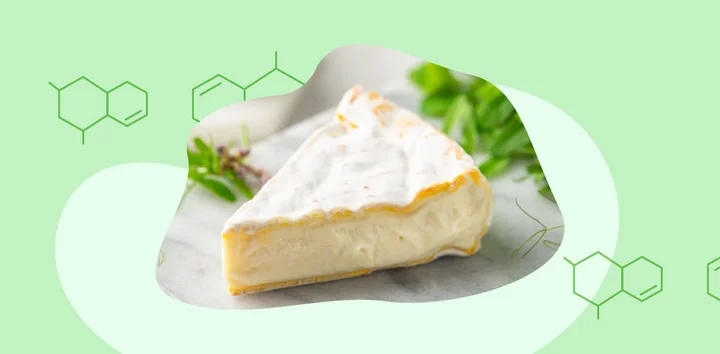 Биология продуктов: польза или вред комбучи, сыра с плесенью, хлеба и молочки