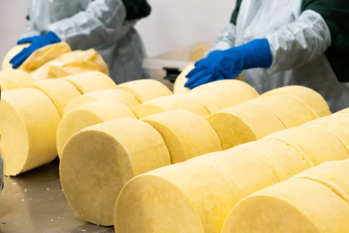 Экскурсия на крупнейший сыродельный комбинат Юга