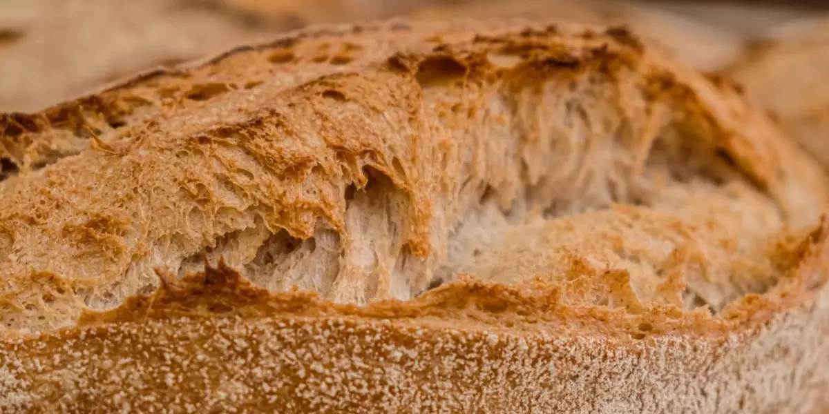 Про хлеб: тартин — деревенский хлеб из Сан-Франциско