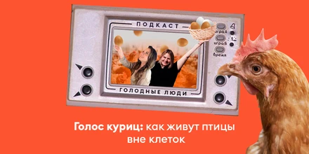 Как живут куры вне клеток: новый эпизод подкаста «Голодные люди»