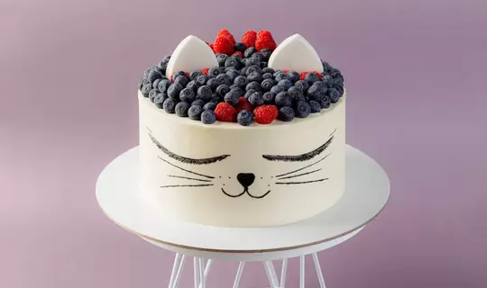 Торт «Ягодный котик»