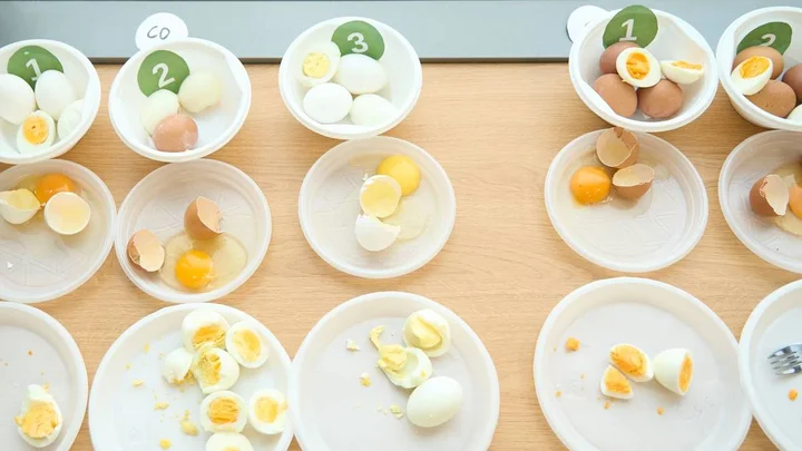 Зачем мы проводим дегустации и почему это важно