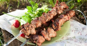 Готовим на мангале: 10+ рецептов шашлыка из мяса, птицы и овощей