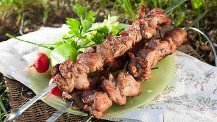 Готовим на мангале: 10+ рецептов шашлыка из мяса, птицы и овощей