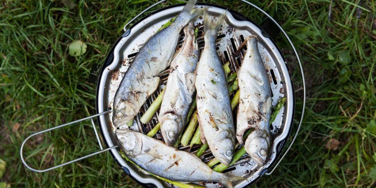 Маринад для рыбы на мангале: вкусные рецепты