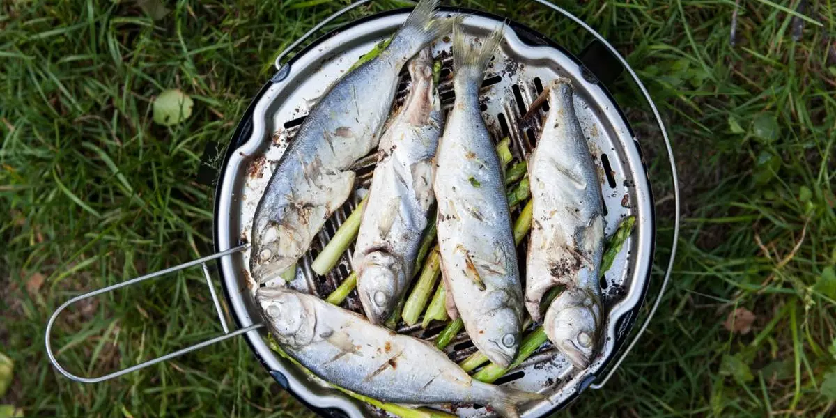 Рыба на мангале: какую выбрать, как замариновать и 6 рецептов для гриля |  Новости и статьи ВкусВилл: Москва и область