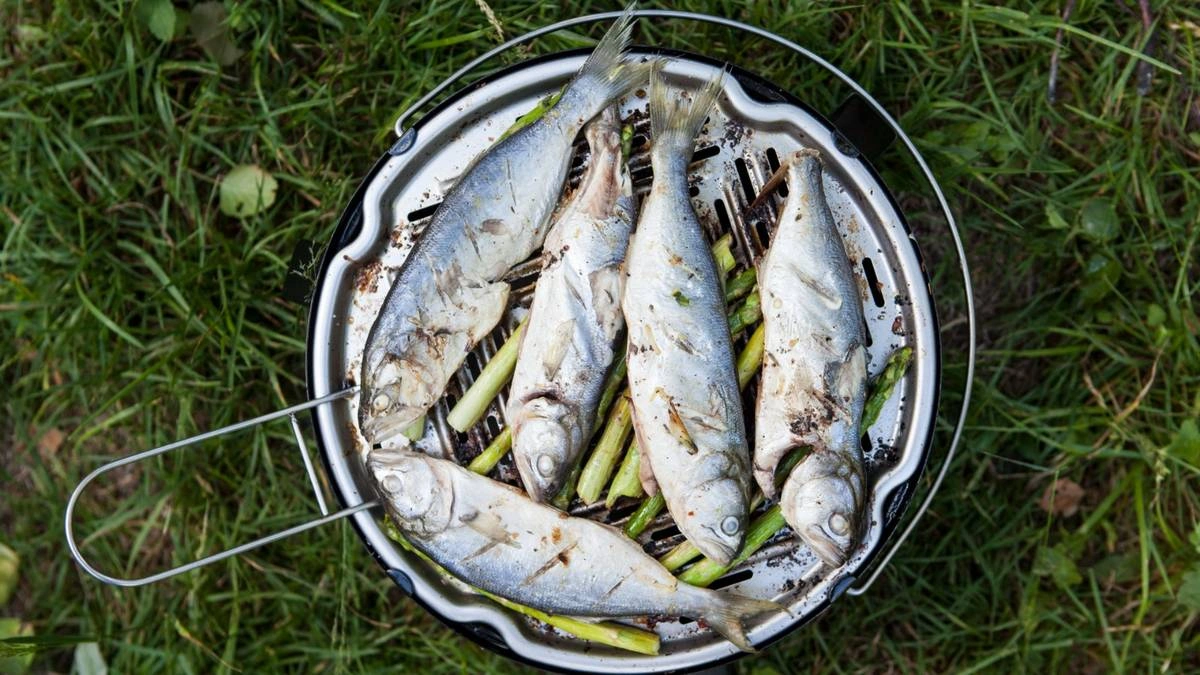 Рыба на&nbsp;мангале: какую выбрать, как замариновать и&nbsp;6 рецептов для&nbsp;гриля