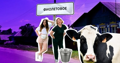 Фиолетовая ода: кто и зачем заводит огороды в квартирах и сколько это стоит