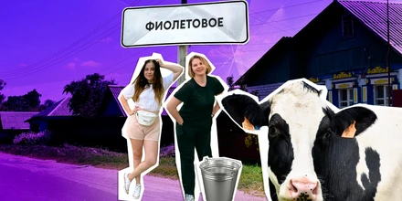 Фиолетовая ода: кто и зачем заводит огороды в квартирах и сколько это стоит
