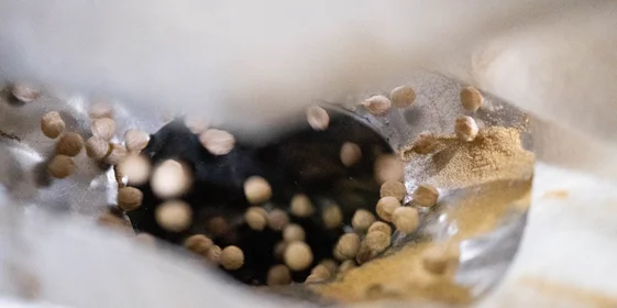 Для шоколадных шариков ВкусВилл смешиваются три зерновых компонента — пшеничная, кукурузная и рисовая мука