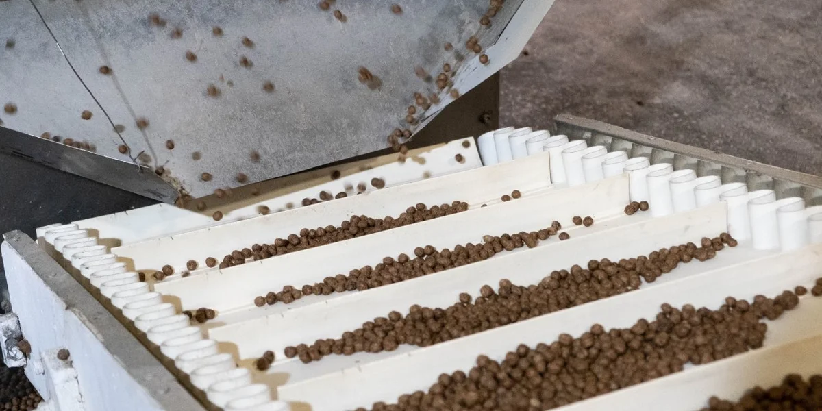 Отдельно из воды, какао-порошка и сахара готовится глазурь