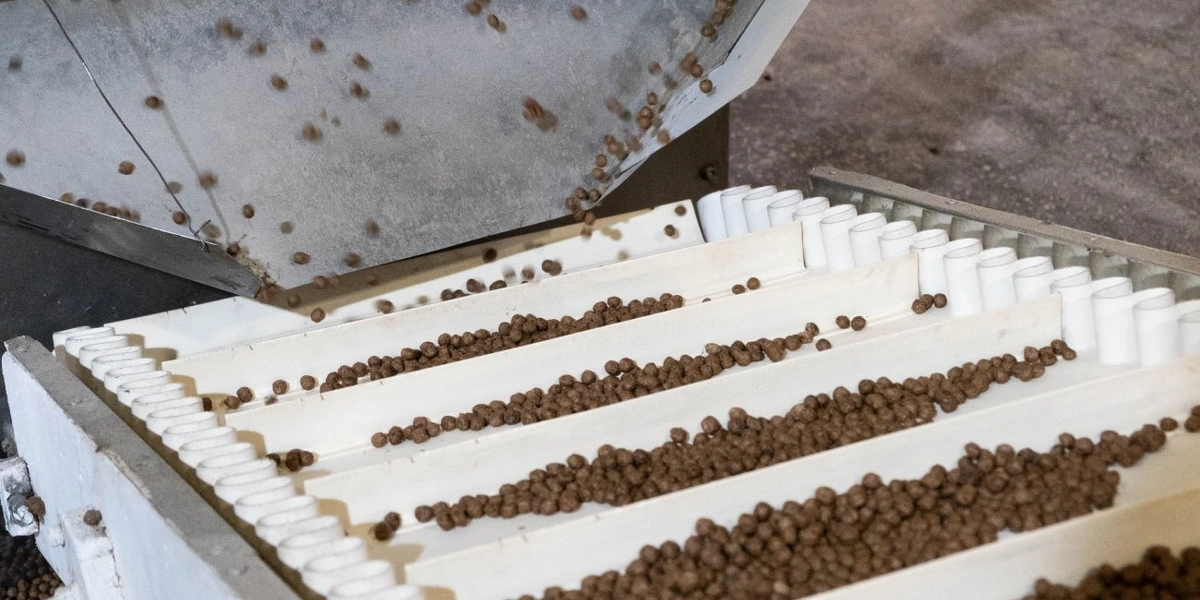 Отдельно из&nbsp;воды, какао-порошка и&nbsp;сахара готовится глазурь