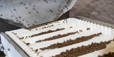 Отдельно из воды, какао-порошка и сахара готовится глазурь