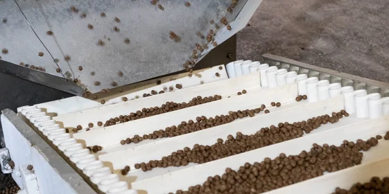 Отдельно из воды, какао-порошка и сахара готовится глазурь