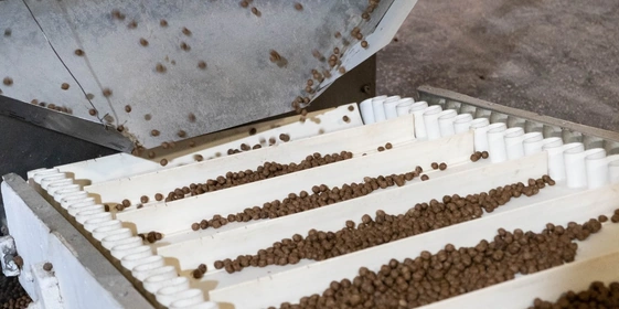 Отдельно из&nbsp;воды, какао-порошка и&nbsp;сахара готовится глазурь