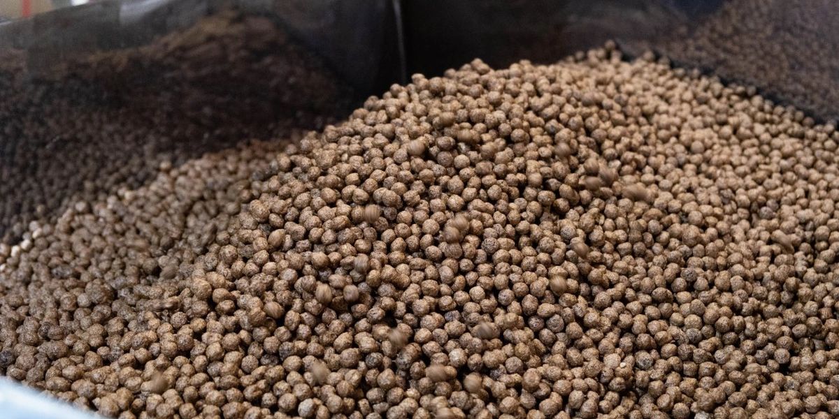 После экструдера шарики поступают в&nbsp;барабан на&nbsp;глазировку и&nbsp;подаются на&nbsp;сушку в&nbsp;печку