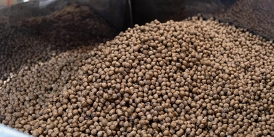 После экструдера шарики поступают в&nbsp;барабан на&nbsp;глазировку и&nbsp;подаются на&nbsp;сушку в&nbsp;печку