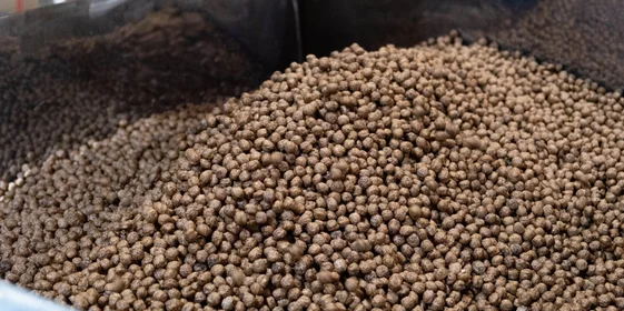 После экструдера шарики поступают в барабан на глазировку и подаются на сушку в печку