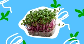 Микрозелень ВкусВилл. Выращиваем дома