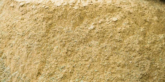 Пряная нотка: экскурсия на производство приправ