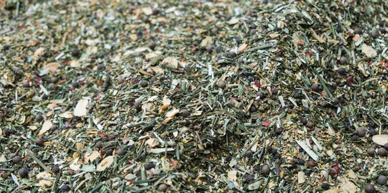 Пряная нотка: экскурсия на производство приправ