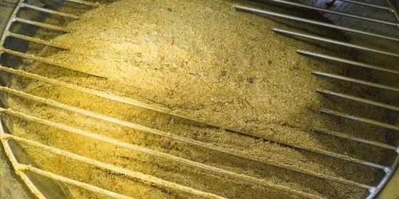 Пряная нотка: экскурсия на производство приправ