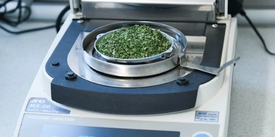 Лабораторное исследование входящего сырья