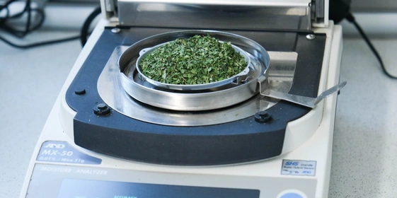 Лабораторное исследование входящего сырья