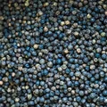 Перечное растение piper nigrum представляет собой древовидную лиану высотой до 15 метров. Имеет воздушные корни, листья с заострёнными кончиками. Плодоносит растение дважды в год на протяжении 25–30 лет