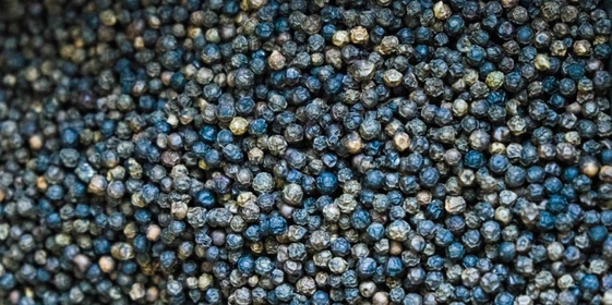 Перечное растение piper nigrum представляет собой древовидную лиану высотой до&nbsp;15 метров. Имеет воздушные корни, листья с&nbsp;заострёнными кончиками. Плодоносит растение дважды в&nbsp;год на&nbsp;протяжении 25–30 лет