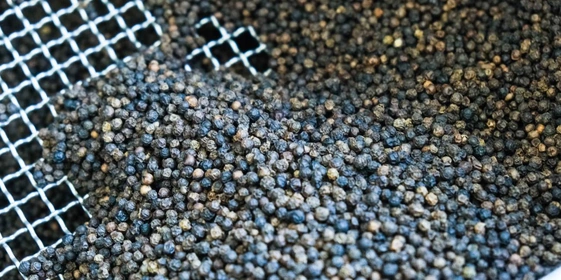 Правильно высушенный чёрный перец не должен «седеть» при&nbsp;хранении. Появление серого оттенка на&nbsp;горошинах означает порчу перца, полную или частичную утрату им целебных и&nbsp;ароматических свойств