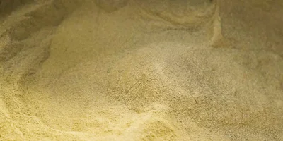 Корица ВкусВилл — истинная. Её выращивают на Шри-Ланке