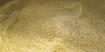 Корица ВкусВилл — истинная. Её выращивают на&nbsp;Шри-Ланке