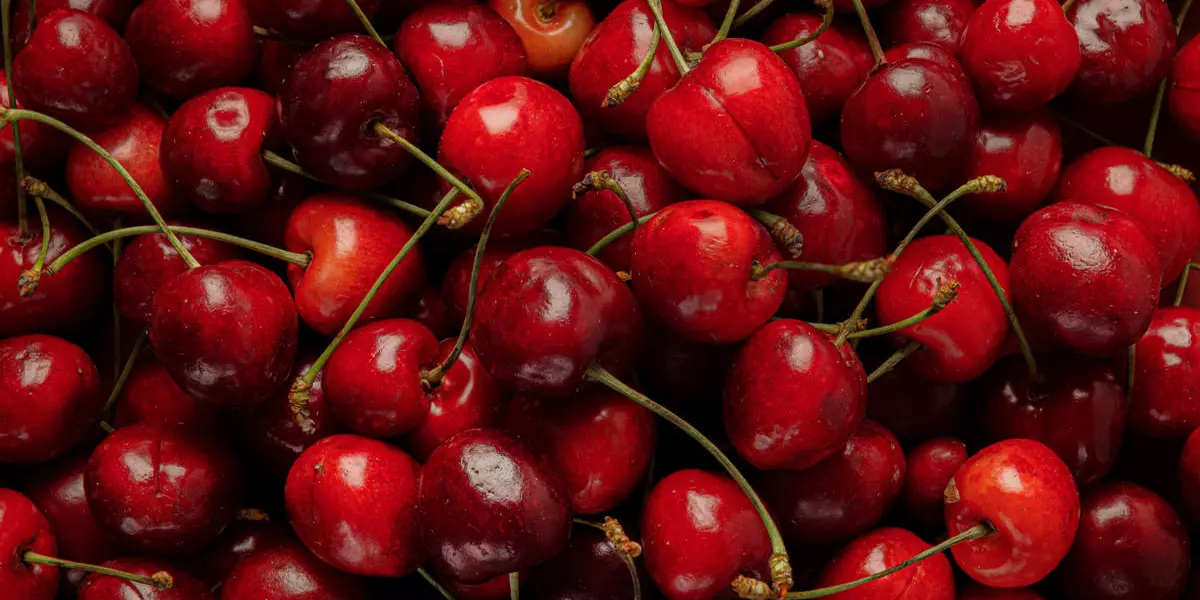 Черешня: полезные свойства летней ягоды