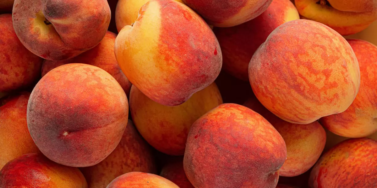От арбуза до мушмулы: какие сезонные фрукты и ягоды купить в июне