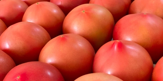 В отделе сортировки помидоры отбираются по&nbsp;размеру