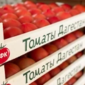 Во ВкусВилл поставляют крупные томаты, их в&nbsp;тепличном комплексе называют «пятёрками» и&nbsp;«шестёрками». Но это не диаметр плода, а их количество, способное поместиться в&nbsp;один ряд в&nbsp;ящике