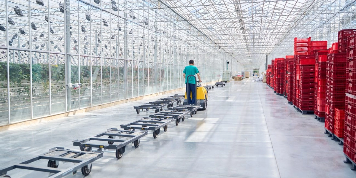 Разнообразие транспорта в теплицах поражает воображение, но иначе не преодолеть большие расстояния 