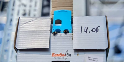 Для этого в теплицах установлены дома для шмелиных семей