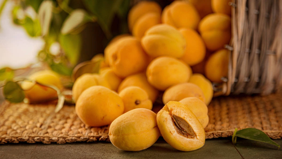 Абрикос: чем полезен, вреден и какой сорт выбрать