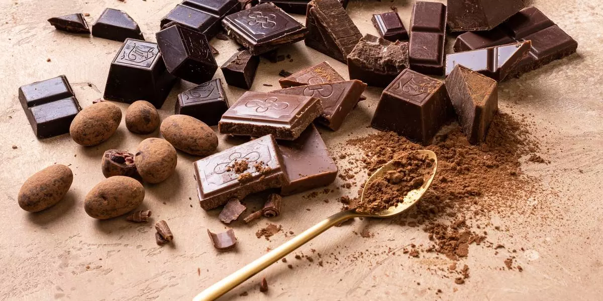 Польза и вред шоколада: как выбрать, сколько съесть и что в составе